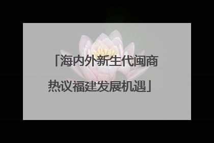海内外新生代闽商热议福建发展机遇