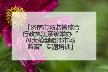 济南市场监管综合行政执法系统举办“AI大模型赋能市场监管”专题培训