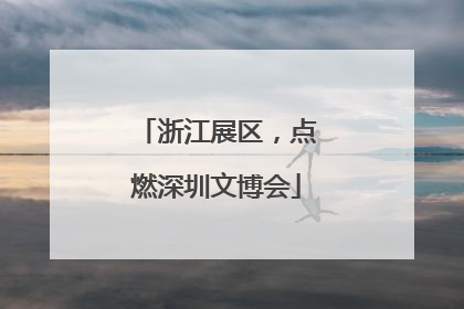 浙江展区，点燃深圳文博会