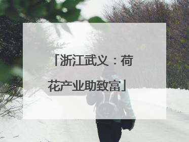 浙江武义：荷花产业助致富