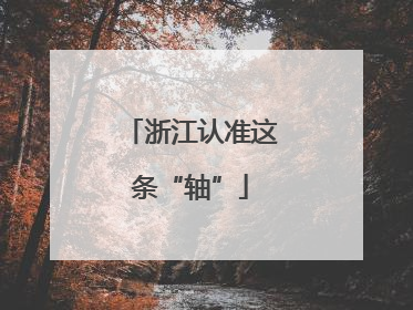 浙江认准这条“轴”