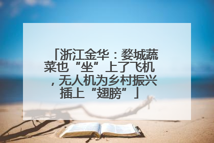 浙江金华：婺城蔬菜也“坐”上了飞机，无人机为乡村振兴插上“翅膀”