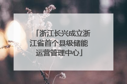 浙江长兴成立浙江省首个县级储能运营管理中心