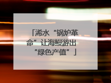 浠水“锅炉革命”让海鳗游出“绿色产值”