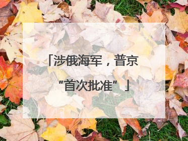 涉俄海军，普京“首次批准”