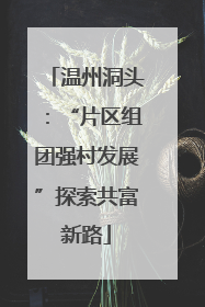 温州洞头：“片区组团强村发展”探索共富新路