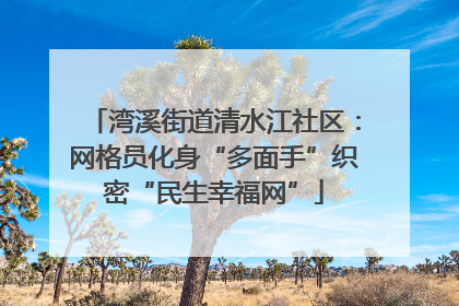 湾溪街道清水江社区：网格员化身“多面手”织密“民生幸福网”