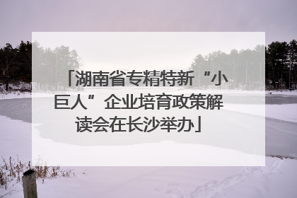 湖南省专精特新“小巨人”企业培育政策解读会在长沙举办