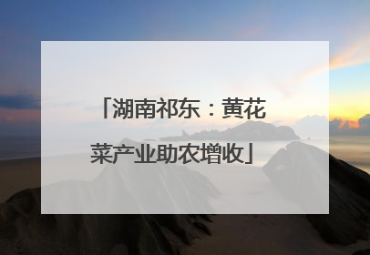 湖南祁东：黄花菜产业助农增收