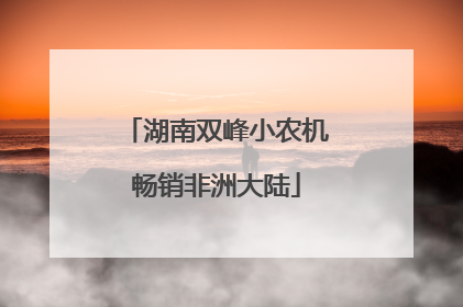 湖南双峰小农机畅销非洲大陆