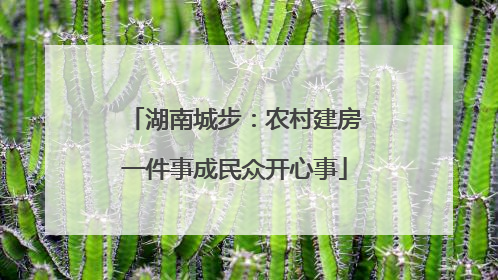 湖南城步：农村建房一件事成民众开心事