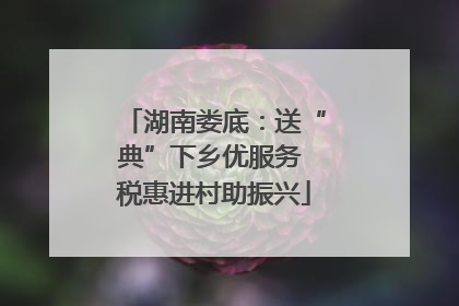 湖南娄底：送“典”下乡优服务 税惠进村助振兴