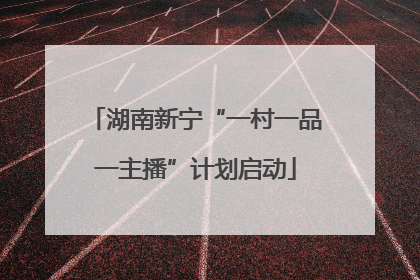 湖南新宁“一村一品一主播”计划启动