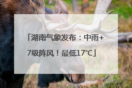 湖南气象发布：中雨+7级阵风！最低17℃