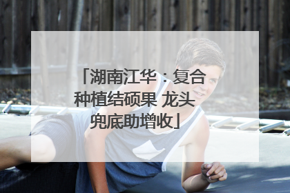 湖南江华：复合种植结硕果 龙头兜底助增收