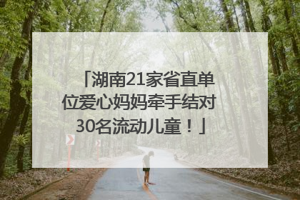 湖南21家省直单位爱心妈妈牵手结对30名流动儿童！