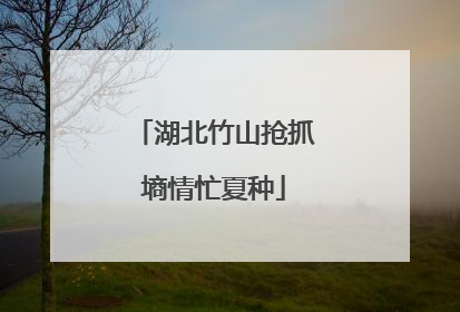 湖北竹山抢抓墒情忙夏种