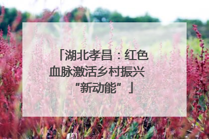 湖北孝昌：红色血脉激活乡村振兴“新动能”