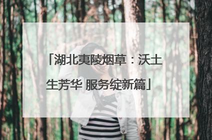湖北夷陵烟草：沃土生芳华 服务绽新篇
