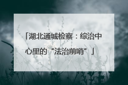 湖北通城检察：综治中心里的“法治前哨”
