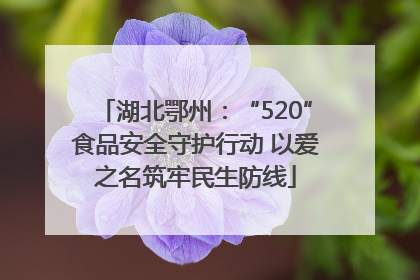 湖北鄂州：“520”食品安全守护行动 以爱之名筑牢民生防线