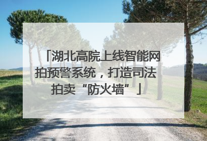 湖北高院上线智能网拍预警系统，打造司法拍卖“防火墙”