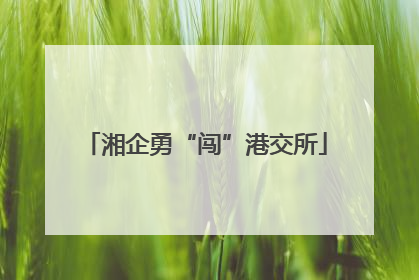湘企勇“闯”港交所