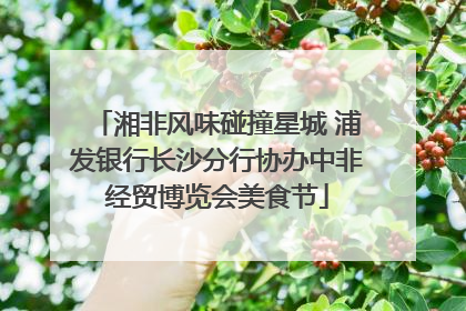 湘非风味碰撞星城 浦发银行长沙分行协办中非经贸博览会美食节