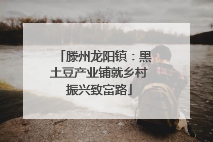 滕州龙阳镇：黑土豆产业铺就乡村振兴致富路
