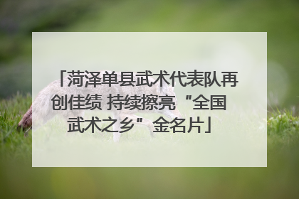 菏泽单县武术代表队再创佳绩 持续擦亮“全国武术之乡”金名片