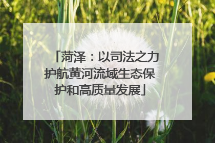 菏泽：以司法之力护航黄河流域生态保护和高质量发展