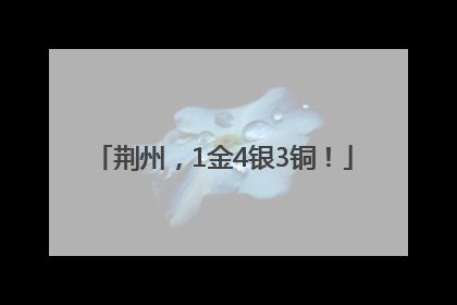 荆州，1金4银3铜！
