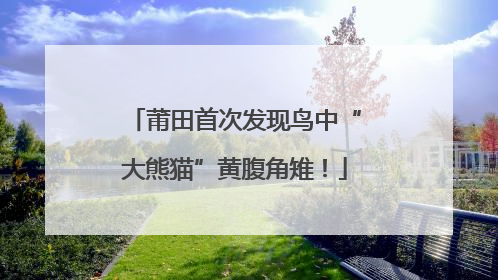 莆田首次发现鸟中“大熊猫”黄腹角雉！