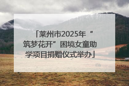莱州市2025年“筑梦花开”困境女童助学项目捐赠仪式举办