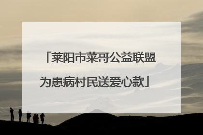 莱阳市菜哥公益联盟为患病村民送爱心款
