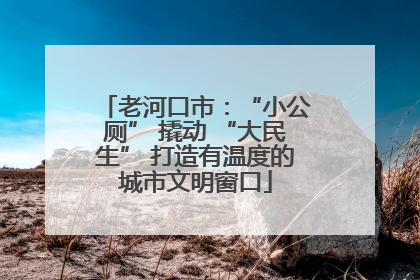 老河口市：“小公厕” 撬动 “大民生” 打造有温度的城市文明窗口