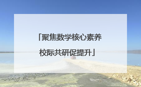聚焦数学核心素养 校际共研促提升