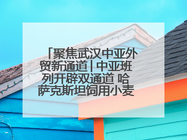 聚焦武汉中亚外贸新通道│中亚班列开辟双通道 哈萨克斯坦饲用小麦将抵鄂