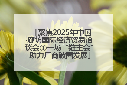 聚焦2025年中国·廊坊国际经济贸易洽谈会③一场“链主会” 助力厂商破圈发展