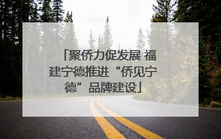 聚侨力促发展 福建宁德推进“侨见宁德”品牌建设
