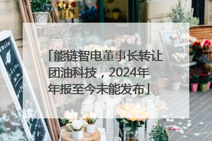 能链智电董事长转让团油科技，2024年年报至今未能发布