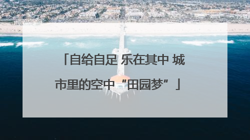 自给自足 乐在其中 城市里的空中“田园梦”