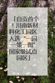 自贡首个！川南新材料化工园区入选“一园一策一图”国家级试点园区