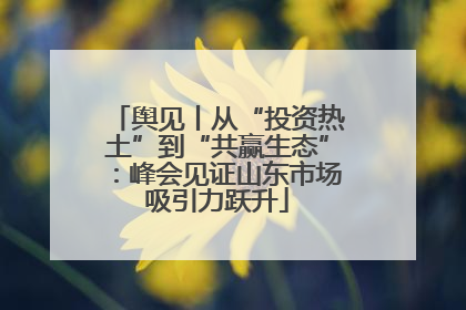 舆见丨从“投资热土”到“共赢生态”：峰会见证山东市场吸引力跃升