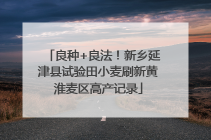 良种+良法！新乡延津县试验田小麦刷新黄淮麦区高产记录
