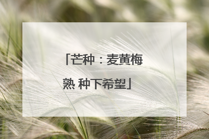 芒种：麦黄梅熟 种下希望