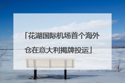 花湖国际机场首个海外仓在意大利揭牌投运