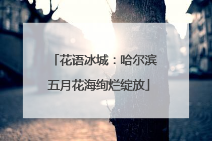 花语冰城：哈尔滨五月花海绚烂绽放