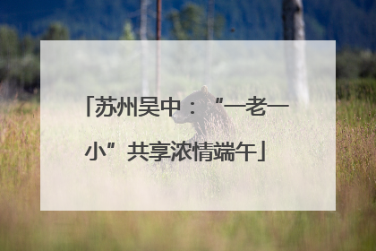 苏州吴中：“一老一小”共享浓情端午