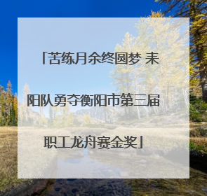 苦练月余终圆梦 耒阳队勇夺衡阳市第三届职工龙舟赛金奖